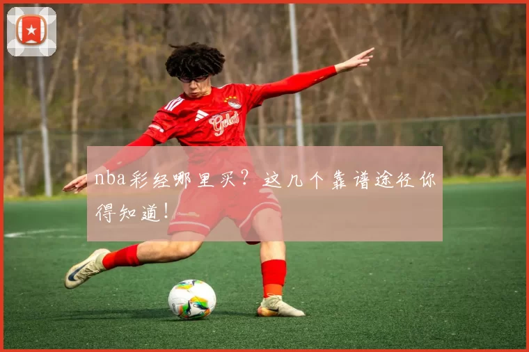 nba彩经哪里买？这几个靠谱途径你得知道！